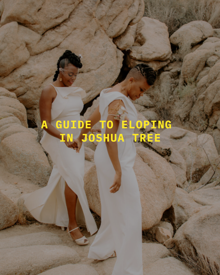 ジョシュア プレミアムフォト A Guide to Eloping in Joshua Tree | Airbnbs for Joshua Tree